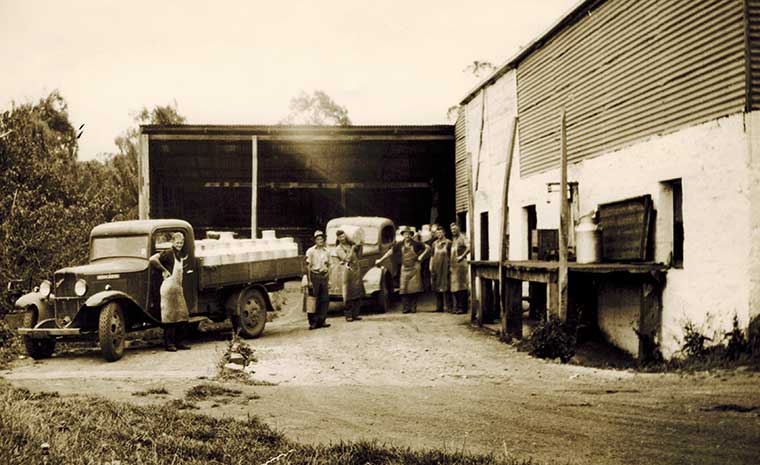Davis Cheese Factory in 1937