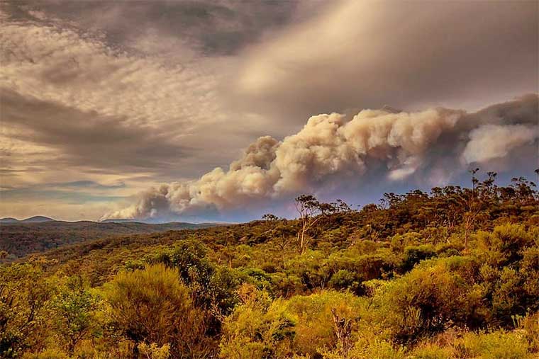 Australian bush fire